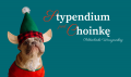 banner Stypendium pod choinkę